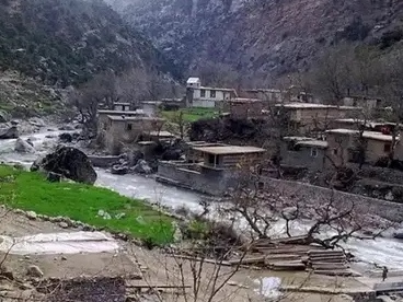 حادثه ترافیکی در نورستان ۸ کشته وزخمی برجاگذاشت